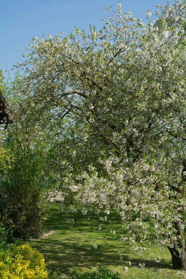 Les Rendzines Bed & Breakfast Nuisement-sur-Coole Екстериор снимка